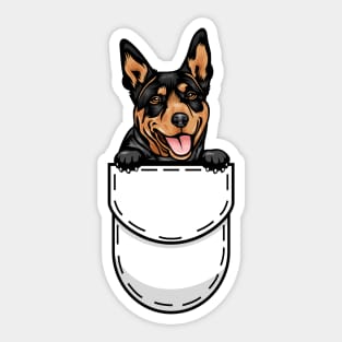 Funny Australian Kelpie Pocket Dog Sticker